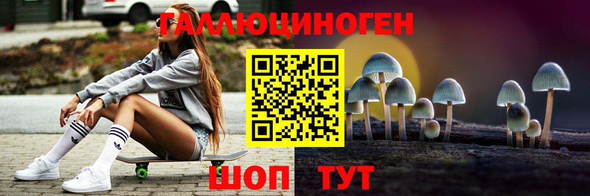 Галлюциногенные грибы Psilocybe Югорск